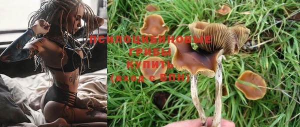 мяу мяу мука Медвежьегорск