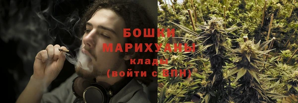 герыч Мегион