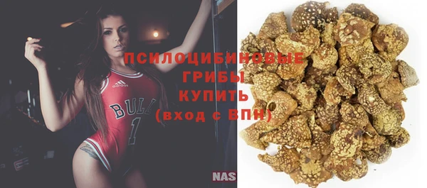 мяу мяу мука Медвежьегорск