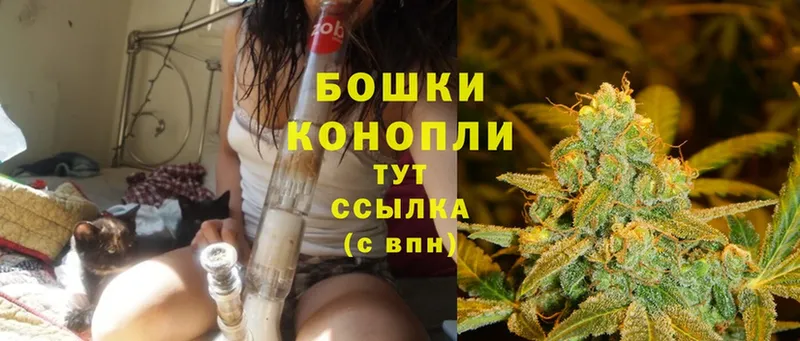 Бошки марихуана THC 21%  Камызяк 